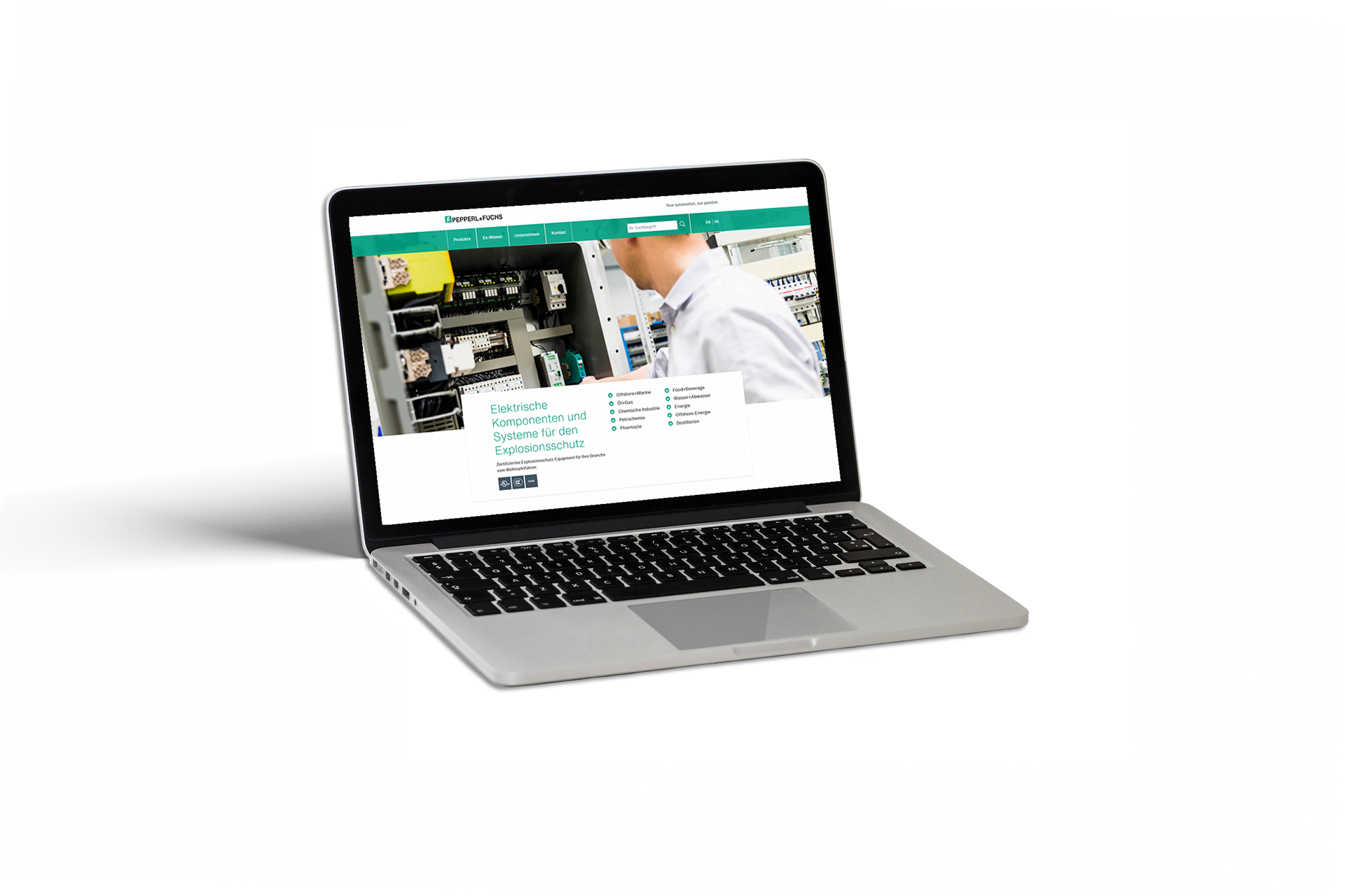 Screenshot der Pepperl+Fuchs Experten-Portal Webseite