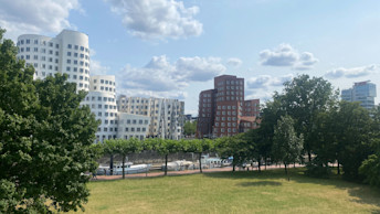 https://images.ctfassets.net/atupprxuq58o/440b4C7OtorM1PGSAeZhjx/e22518ecb3afb05d7e386af0f35be20e/Office_D_Landmark-Park_1920.jpg