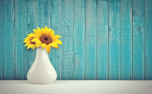 Sonnenblume in einer Vase auf einem Tisch, im Hintergrund eine blaue Holzwand Sonnenblume in einer Vase auf einem Tisch, im Hintergrund eine blaue Holzwand